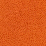 Orange 08 | Gaspar