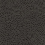 Pinecone 10 | Gaspar