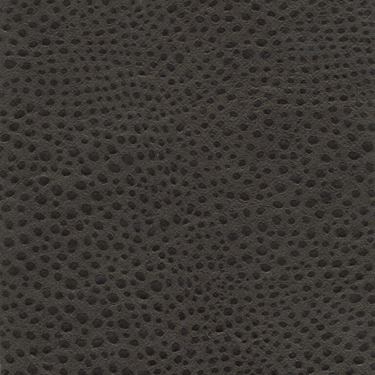 Pinecone 10
