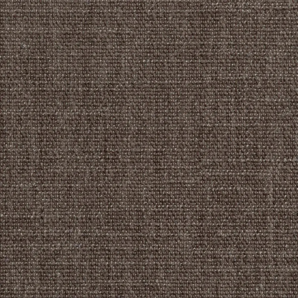 Driftwood 02 | Geco