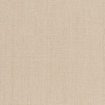 Parchment 06 | Chenille