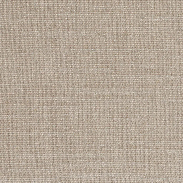 Pumice Stone 08