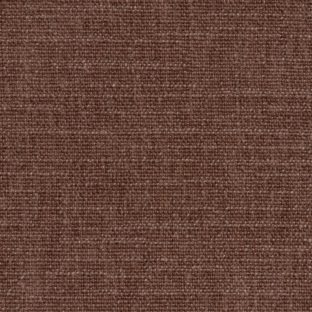 Nutmeg 10 | Geco