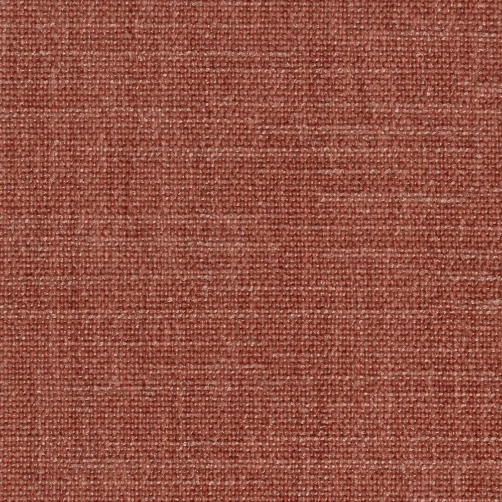 Desert Sand 11 | Geco
