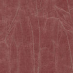 Dry Rose 187 | Gentleman
