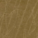 Butternut 346 | Gentleman