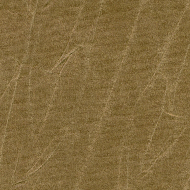 Butternut 346