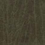 Grape Leaf 385 | Gentleman
