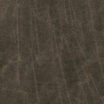 Semolina 502 | Gentleman