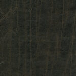 Seal Brown 505 | Gentleman