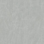 Dove 616 | Gentleman