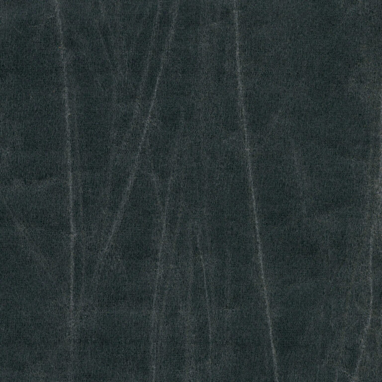 Dark Shadow 667