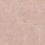 Ash Rose 802 | Gentleman