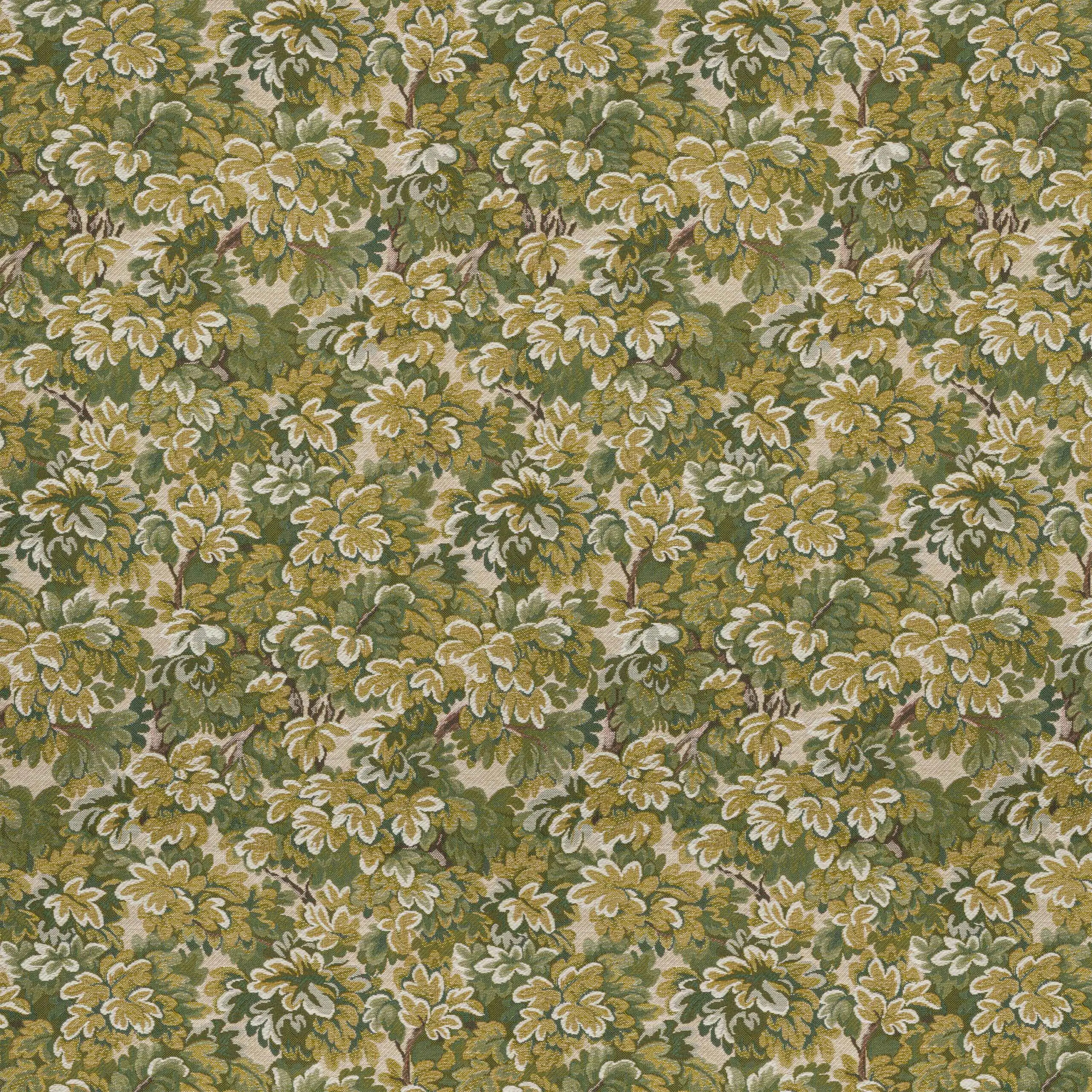 Woodbine 05 | Giardino