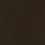 Chocolate 01 | Ginkgo