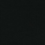 Anthracite 02 | Ginkgo