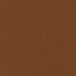 Chataigne 003 | Ginkgo