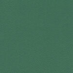 Vert 006 | Ginkgo