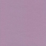 Lilas 08 | Ginkgo