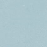 Aigue Marine 012 | Ginkgo
