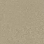 Mastic 13 | Ginkgo