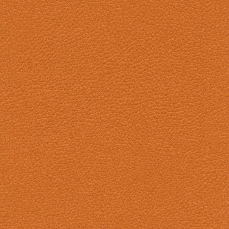 Citrouille 15