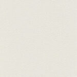 Blanc 19 | Ginkgo