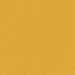 Mirabelle 21 | Ginkgo
