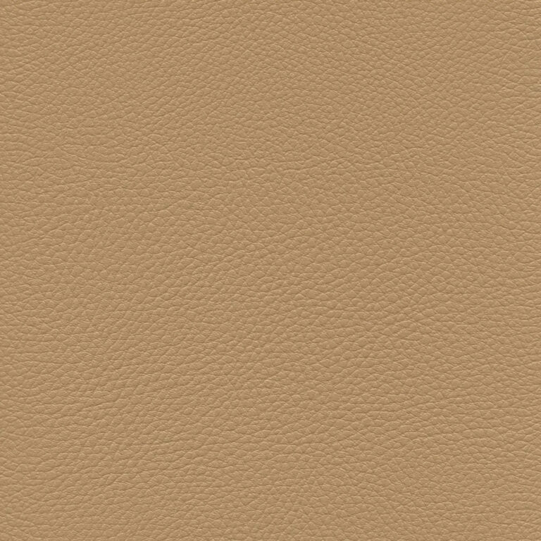 Dune 23