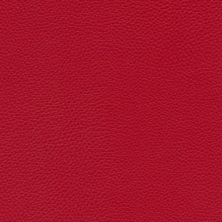 Pivoine 25