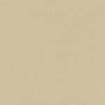 Seigle 27 | Ginkgo
