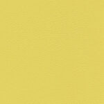 Endive 032 | Ginkgo