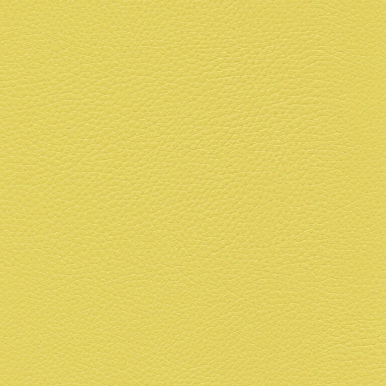Endive 032
