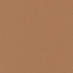 Capuccino 038 | Ginkgo