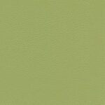Menthe 042 | Ginkgo