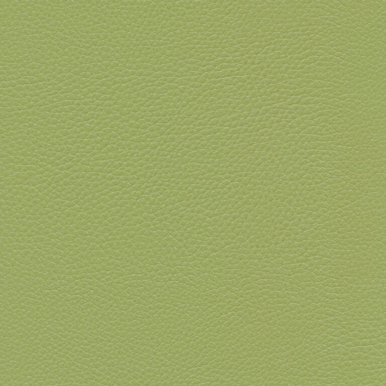 Menthe 042