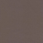 Taupe 43 | Ginkgo