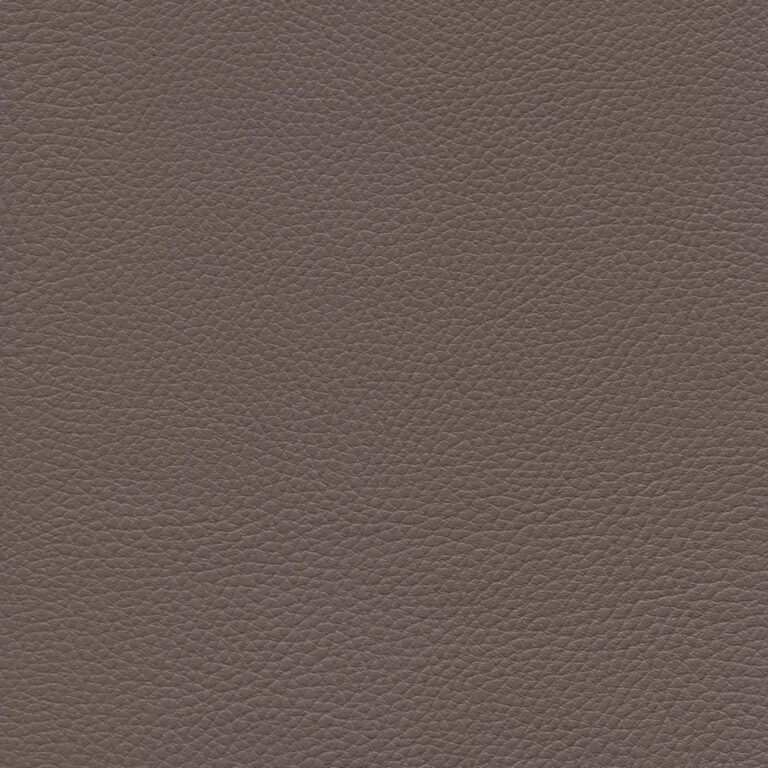 Taupe 43