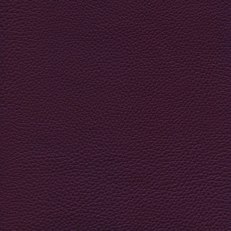 Myrtille 45