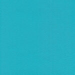 Turquoise 47 | Ginkgo