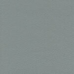 Pierre 50 | Ginkgo