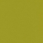 Granny 52 | Ginkgo
