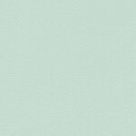 Glacier 059 | Ginkgo