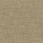 Cornstalk 02 | Gobi