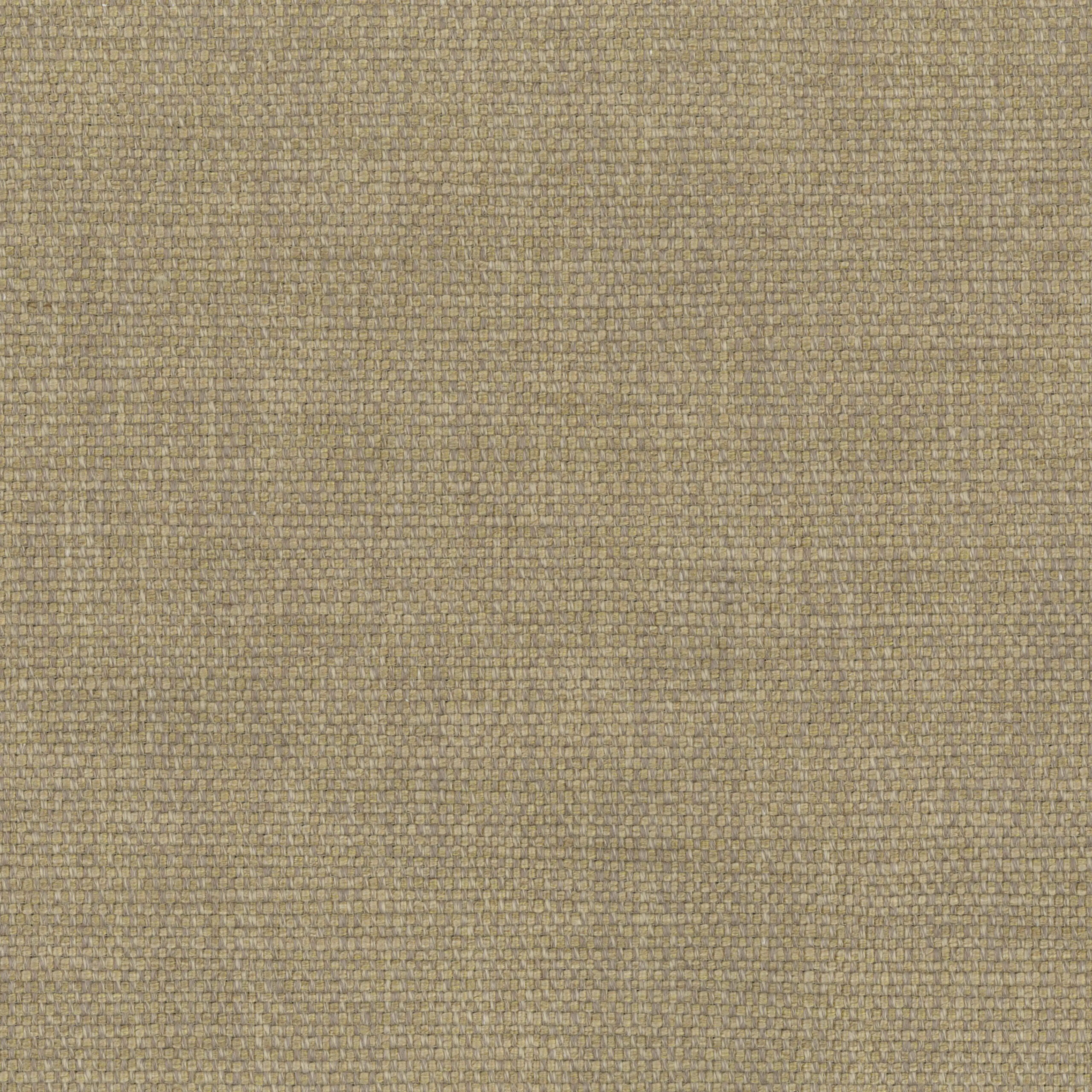 Cornstalk 02 | Gobi
