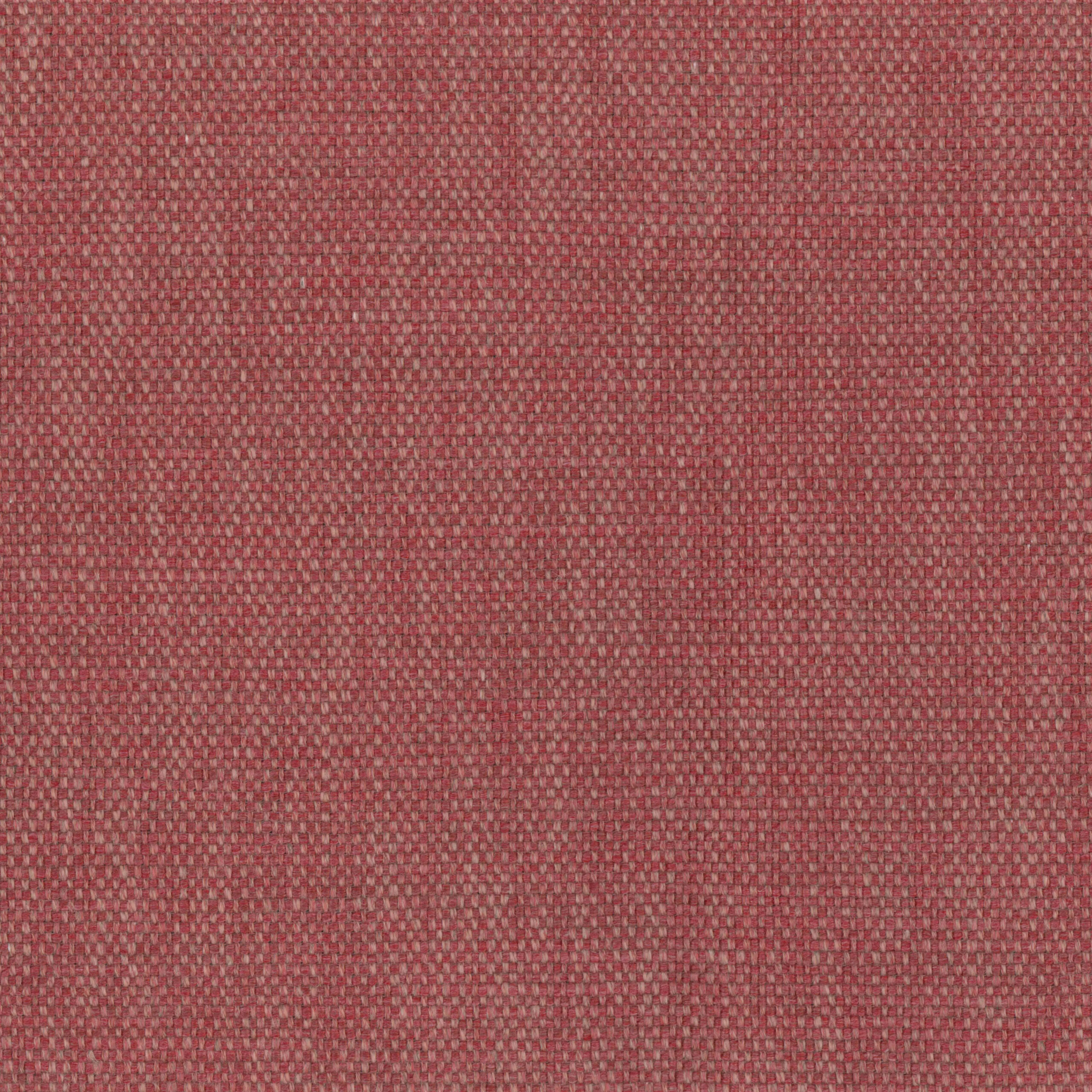 Dusty Cedar 03 | Gobi