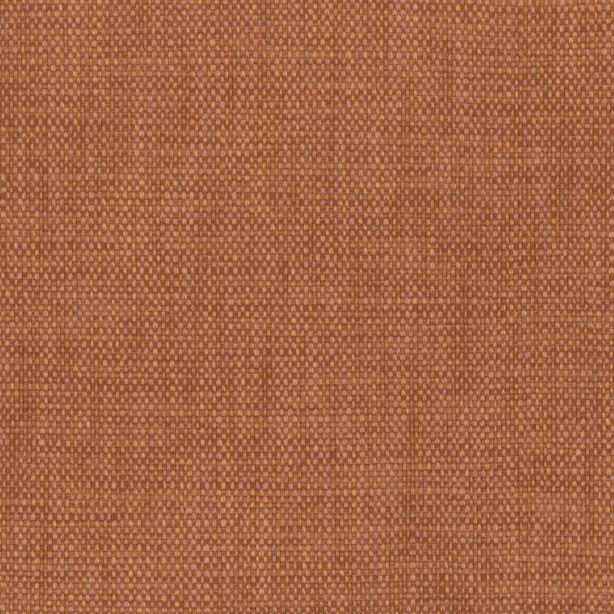 Hazel 04 | Gobi