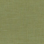 Mosstone 06 | Gobi