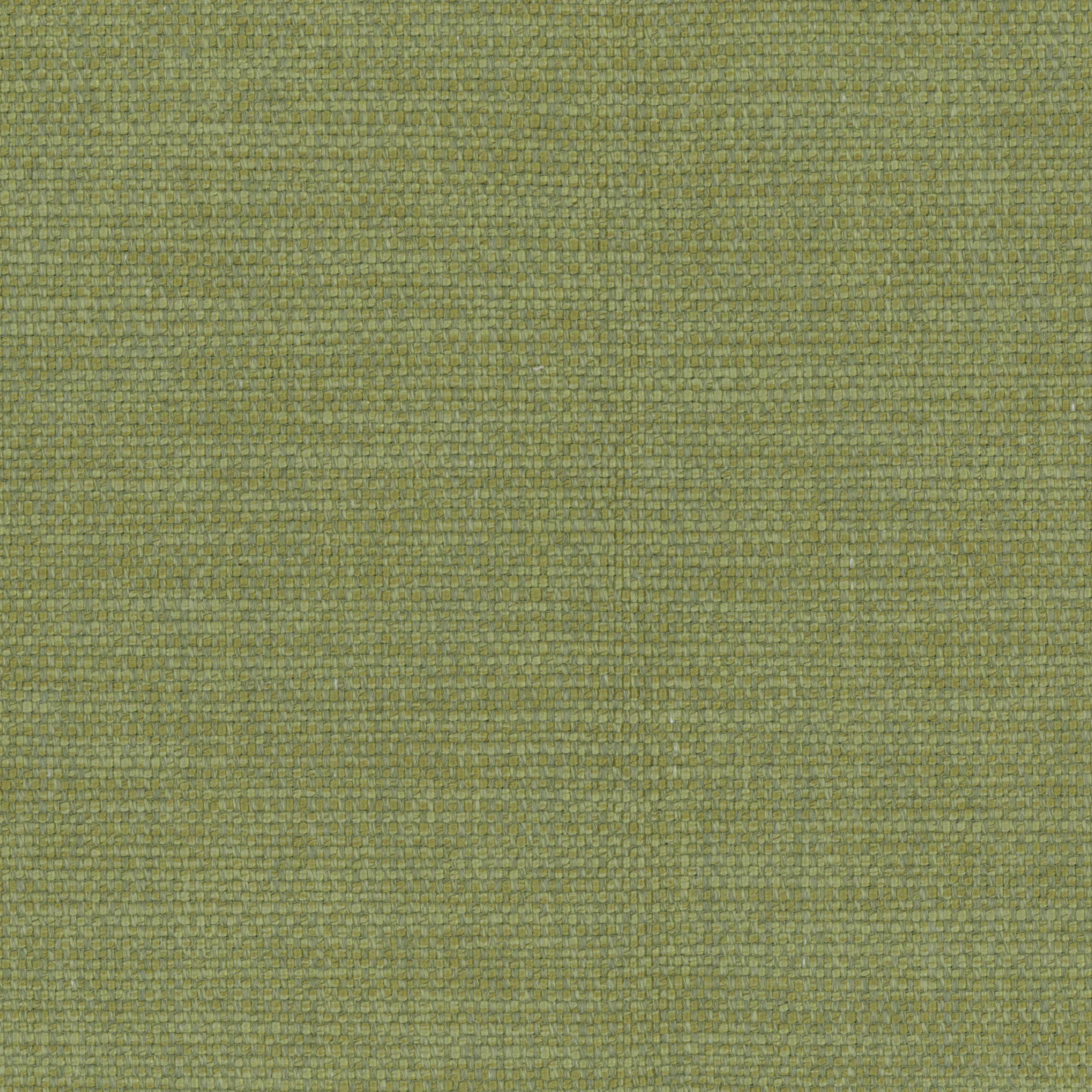 Mosstone 06 | Gobi