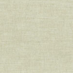 Birch 10 | Gobi